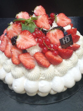 PAVLOVA 6 P